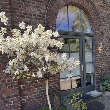 Alte Weberei
Wohlfühloase – Maisonette-Wohnung mit Garten