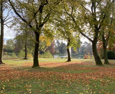 DIREKT AM SCHÖNWASSERPARK: HOCHWERTIGE 2-ZIMMER-WOHNUNG ZU MIETEN!