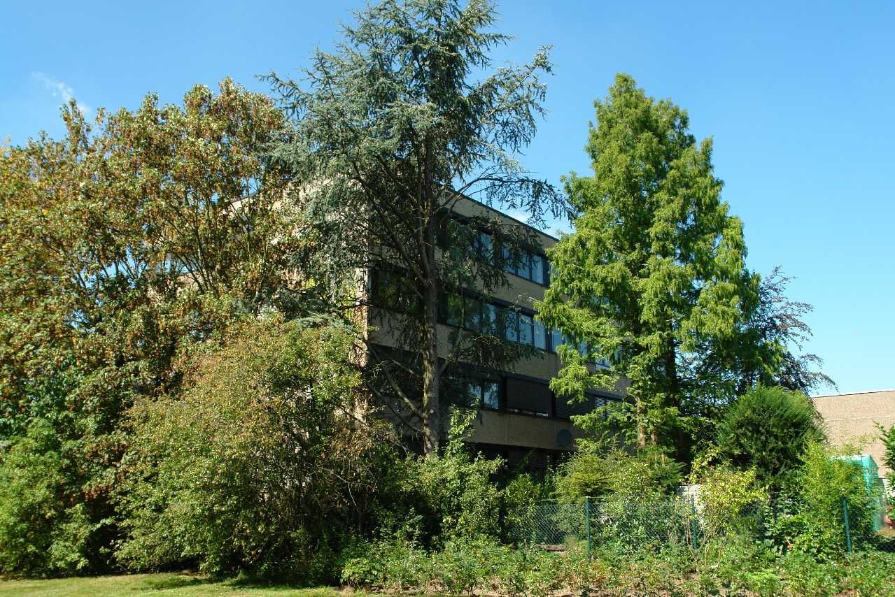 Rückansicht