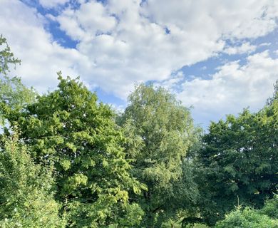 sonnige Maisonette ETW mit Garage