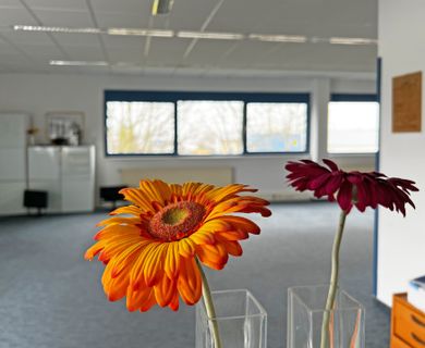 432 m² großer Bürokomplex im Gewerbegebiet, auch für Bürogemeinschaften- Ab sofort zur Miete!