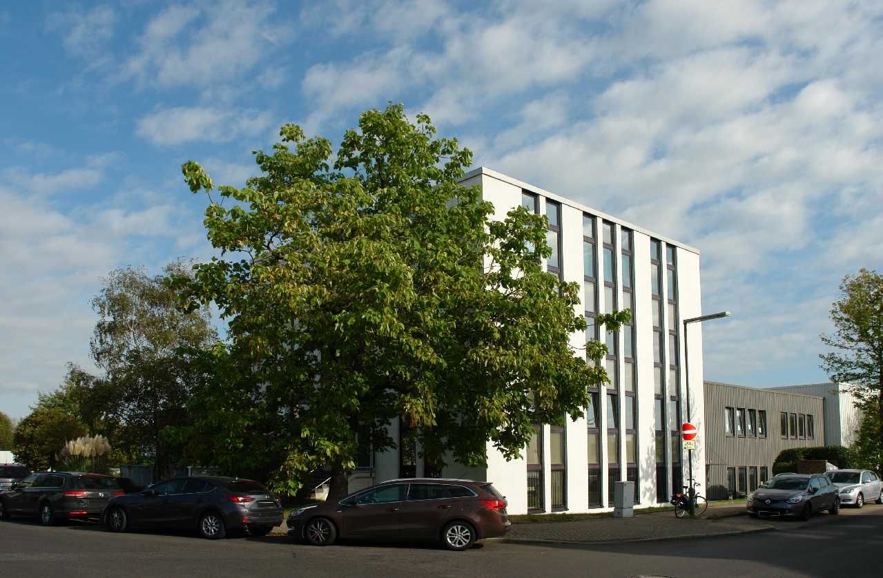 Ansicht