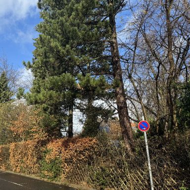 Neubauvorhaben Mettmann – Metzkausen
1 Familienhaus / Villa