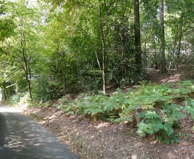 Freiraum und Platz; großes Grundstück in beschaulicher Stadtrandlage