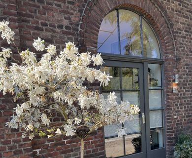 Alte Weberei
Wohlfühloase – Maisonette-Wohnung mit Garten