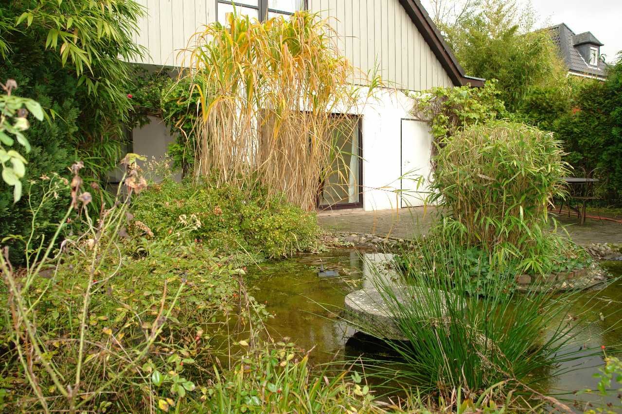 Gartenteilansicht
