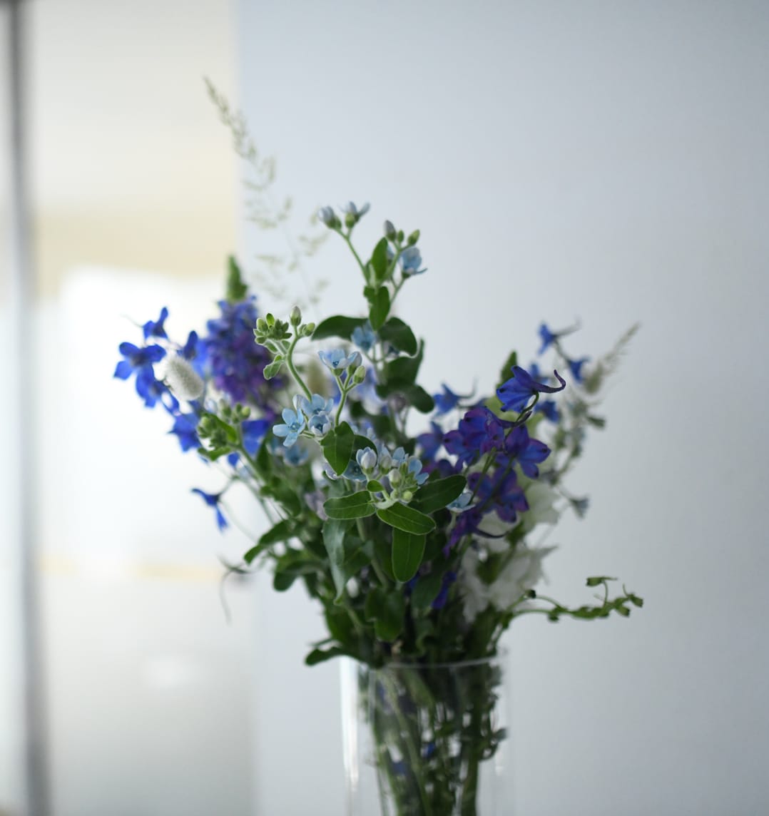 Blumen im Empfangsbereich bei Schneider Immobilien