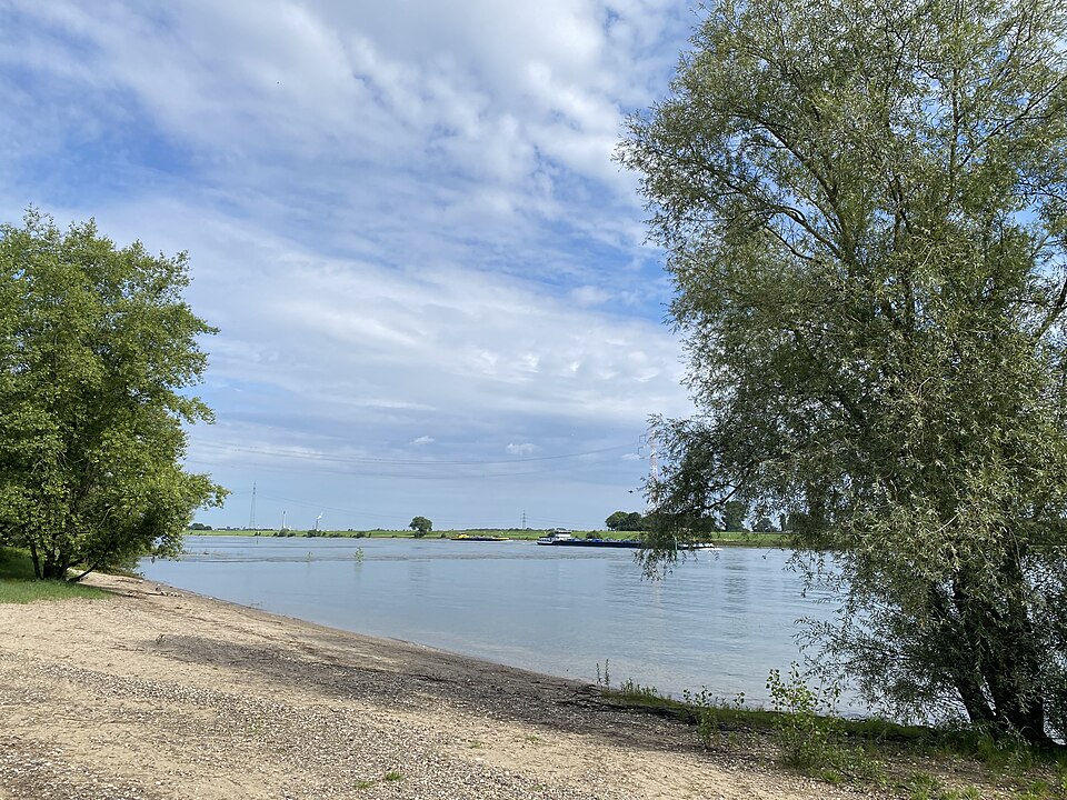 Rheinaue_Meerbusch