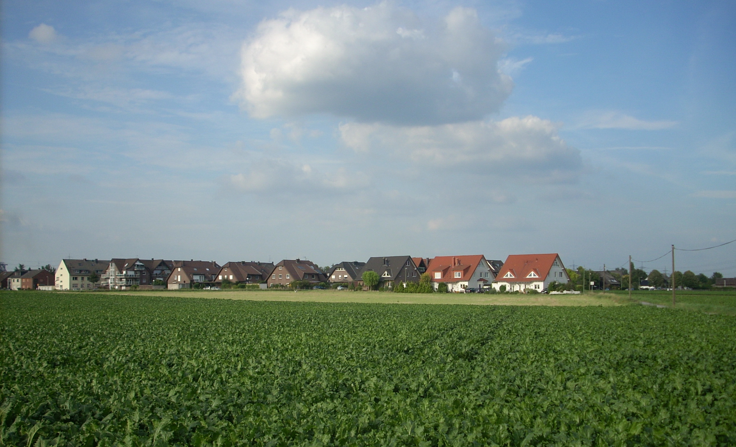 Haeuser in Duisburg